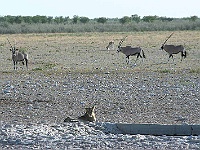 Mud Maps Africa Namibia 0660.JPG